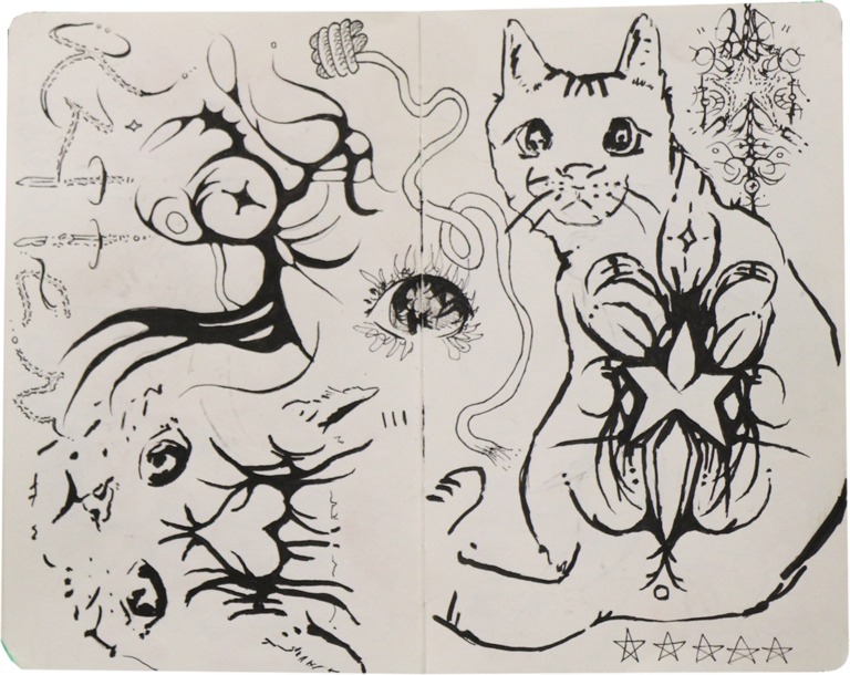 Cat Sketchbook Sketchbook Page Image