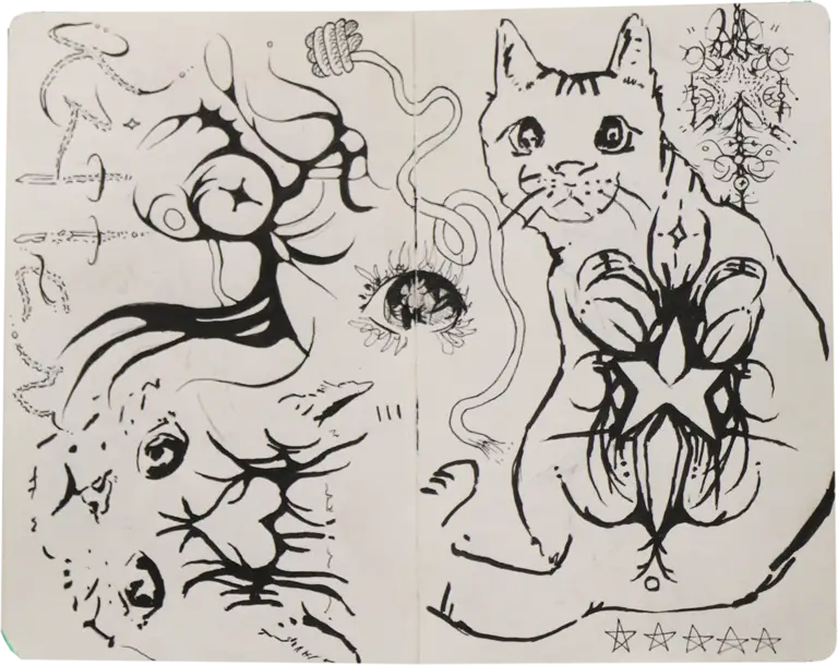 Cat Sketchbook Page, ink on paper, 2024