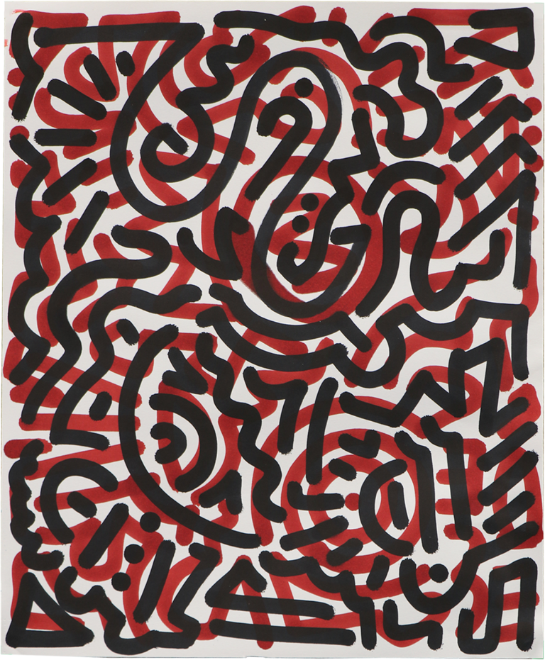 Explosive Zebra Image